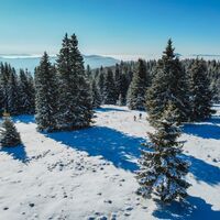 Brandl im Winter