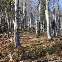 Aufstieg zum Hochstaff
