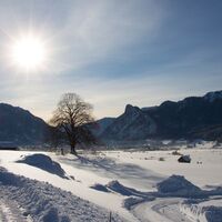 Winterwanderung - Altherrenweg