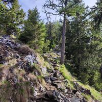 Weiterweg zum Mahdlgupf