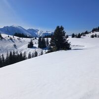 Über Halterhütte