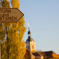 Im Herbst regieren Sturm und Kastanien