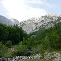 Rückblick zum Treffauer