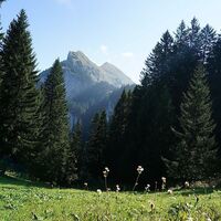 Wanderweg Mellau