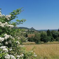 Blick auf Hohenkrähen