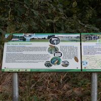 Informationstafel Harper Mühlenbach