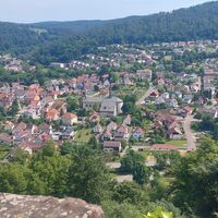 Minneburg_Neckargerach