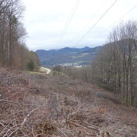 Aufstieg am Adolf-Müller-Weg