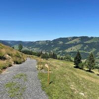 Blick übers Konstanzer Tal