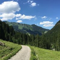 Aus dem Gemsteltal hinaus