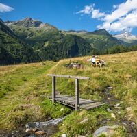 Kurze Rast... und dabei die Natur in vollen Zügen genießen