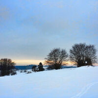 Abendstimmung am Bol