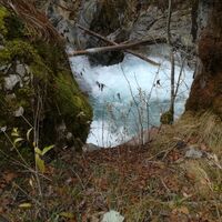 Stimmungsbild zum wilden Hainschgrabenbach