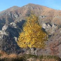 Das Vallone di Grandubbione