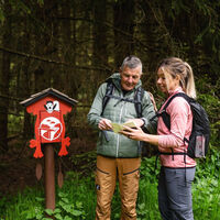 Stempelstelle am Heilklimasteig Schönwald