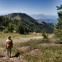 mugel von der stadlmaier-alm_img_86745618