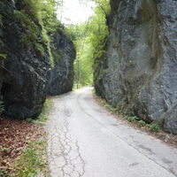 blicken wir aus Naßwald noch einmal zurück