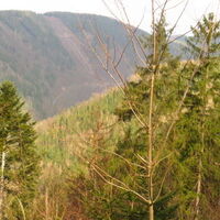 oberhalb von Hohenwarte