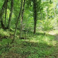 7.7 km Single Archäologisch Ausgrabungsstelle