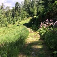 Weg Richtung Muottas da Schalrigna