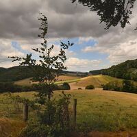 Blauer Hödeken