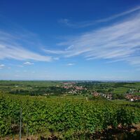 Blick in die Rheinebene über Birkweiler hinweg