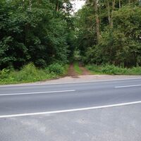 Waldweg