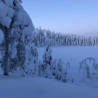Pöllylampi im Winter, Vuokatti
