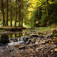 Wasserrauschen im Gläsertal, parallel zum Ilm-Radweg