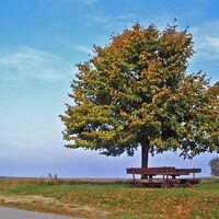 Rastplatz bei Litschau