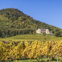Villa Ludwigshöhe_Edenkoben