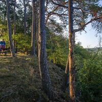Rast mit Idarwaldblick