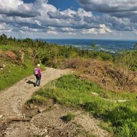 Breite Wege und Steige wechseln sich ab