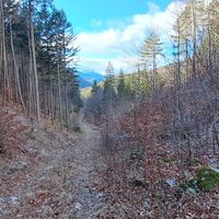 Abstieg nach Stixenstein