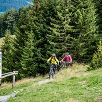 Walserweg mit spannenden Hinweistafeln über die Walser Kultur. Auch Wandernde nutzen den Weg oft.