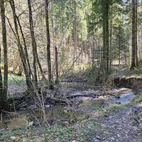 Hölleitenbach
