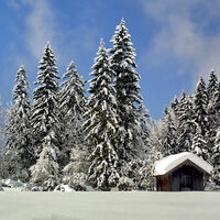 Winterwanderung - Geizenmoos