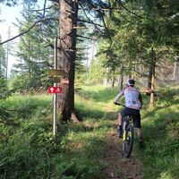Beschilderte Trailpassage der Altes Almhaus Tour 182