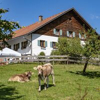 Alpe Kögelhof