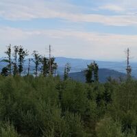Blick zum Staffelberg vorne, mittig der Haugstein im Sauwald (OÖ)