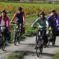 Oenovelo_112023©MSanz