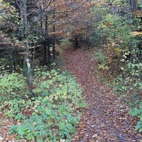 am Weg "Steiniger Weg"