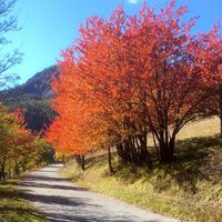 Straße zum Valle del Frejus