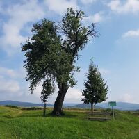 Wandern im Naturpark Pöllauer Tal in der Oststeiermark
