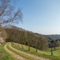 Natur pur