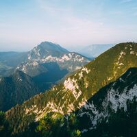 Streicher_voll-8937.jpg
