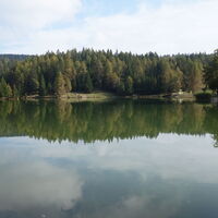 beim Felixer Weiher/Lago di Tret