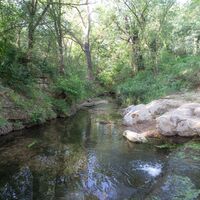 Bois de Ribaute@Karinegregoire (3)