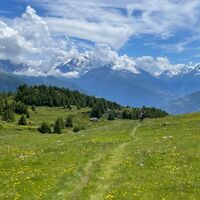 Blick zurück