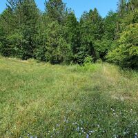 4.0 km Piste durch Wald